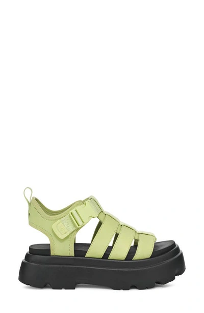 Shop Ugg (r) Cora Platform Sandal In Caterpillar