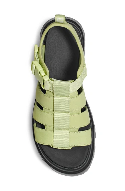 Shop Ugg Cora Platform Sandal In Caterpillar