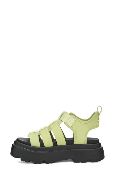 Shop Ugg Cora Platform Sandal In Caterpillar