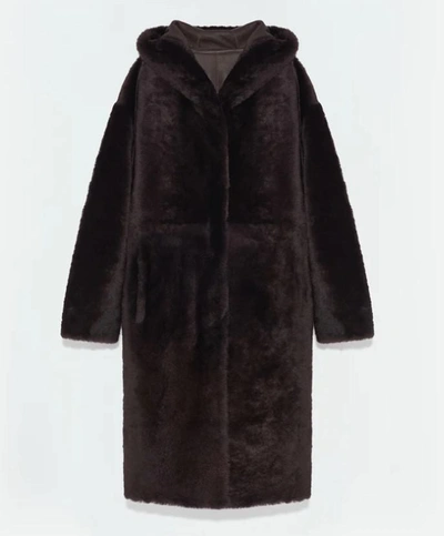 Shop Yves Salomon Long Shearling Coat With Hood In Brown