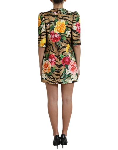 Shop Dolce & Gabbana Animal & Floral Print Mini Shift Women's Dress In Multicolor