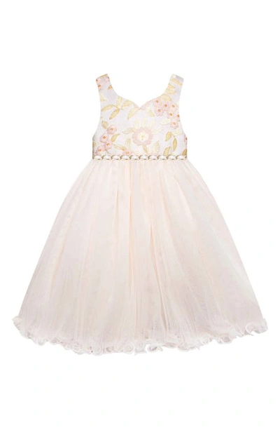Shop American Princess Kids' Embroidered Netting Dress In Blush Gold