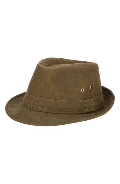 Shop San Diego Hat Waxed Cotton Stingy Brim Fedora In Olive