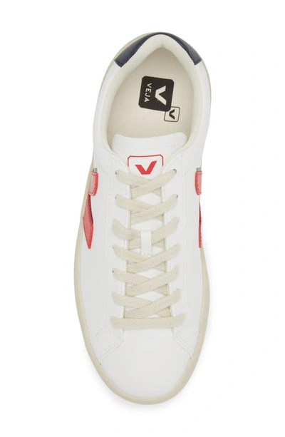 Shop Veja Urca Cwl Sneaker In White Pekin Nautico