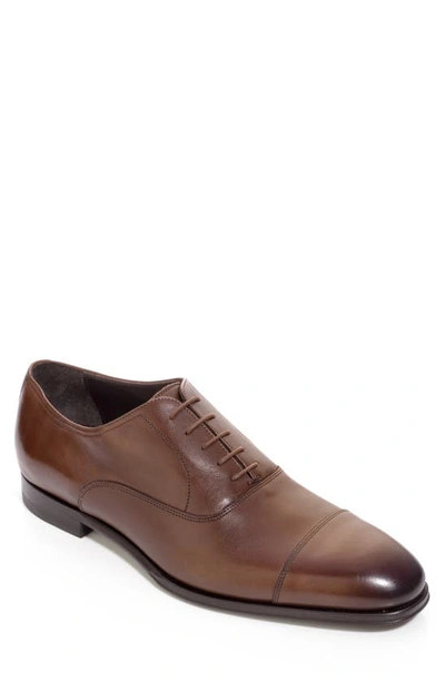 Shop To Boot New York Nico Oxford In Burnished Brown