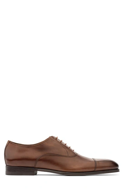 Shop To Boot New York Nico Oxford In Burnished Brown