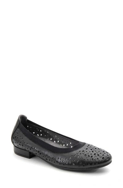 Shop David Tate Laser Cut Ballet Flat In Black Calf