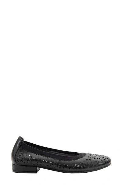 David Tate Laser Cut Ballet Flat In Black Calf
