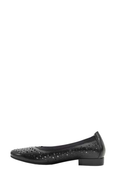 David Tate Laser Cut Ballet Flat In Black Calf