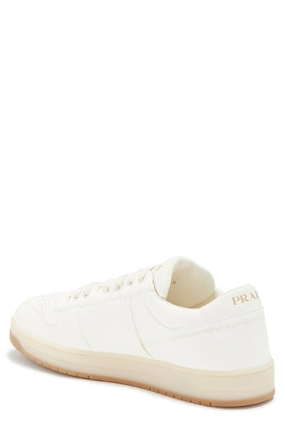 Prada Ivory Leather Lace-up Sneakers In Avorio