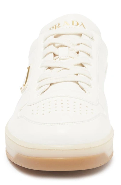 Prada Ivory Leather Lace-up Sneakers In Avorio
