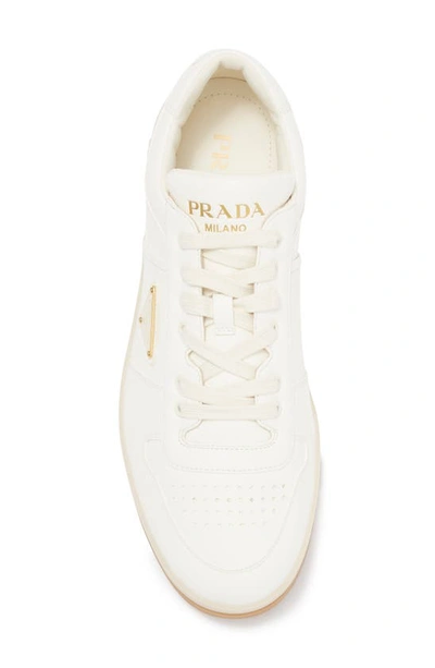 Prada Ivory Leather Lace-up Sneakers In Avorio