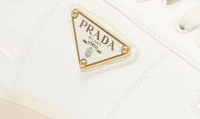 Prada Ivory Leather Lace-up Sneakers In Avorio