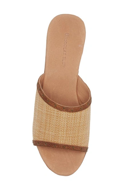 Chocolat Blu Guro Platform Sandal In Brown Combo Raffia