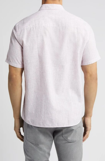 Shop Robert Barakett Legato Short Sleeve Button-up Shirt In Pink