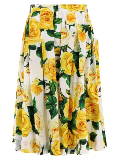 Shop Dolce & Gabbana Rose Printed Circle Skirt