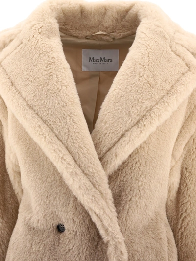 Shop Max Mara "gatto" Teddy Bear Icon Coat