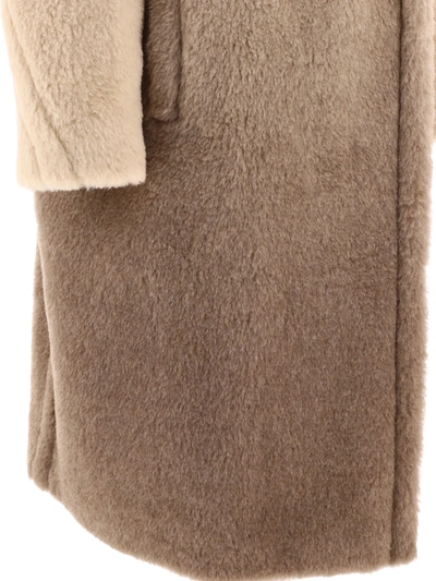 Shop Max Mara "gatto" Teddy Bear Icon Coat