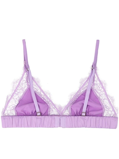 Shop Love Stories Love Lace Underwear, Body Purple