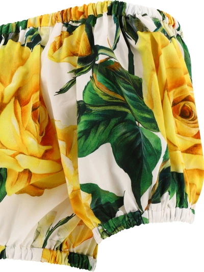 Shop Dolce & Gabbana Bardot Neck Crop Top With Rose Print