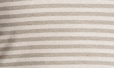 Shop Splendid Candice Stripe Linen Blend Crop Tank In Fawn Stripe