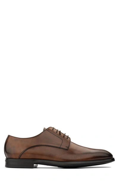 To Boot New York Amedeo Derby In Burnished Brown
