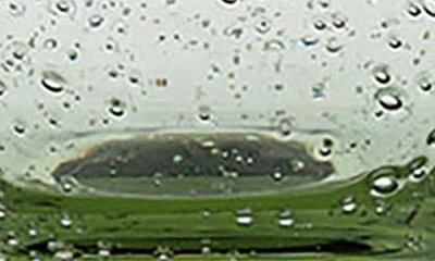Juliska Provence Glass Goblet In Basil