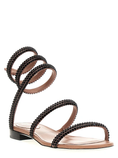 Shop René Caovilla 'cleo' Sandals In Pink