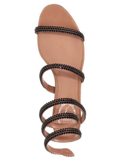 Shop René Caovilla 'cleo' Sandals In Pink