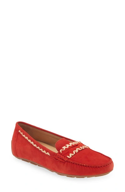 Shop The Flexx Ralf Penny Loafer In Candy