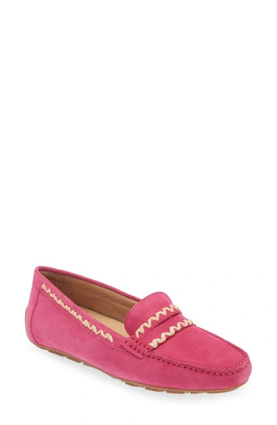 Shop The Flexx Ralf Penny Loafer In Fuxia