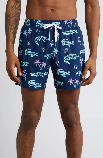 Shop Chubbies Classic Lined 5.5-inch Swim Trunks In The Neon Glades