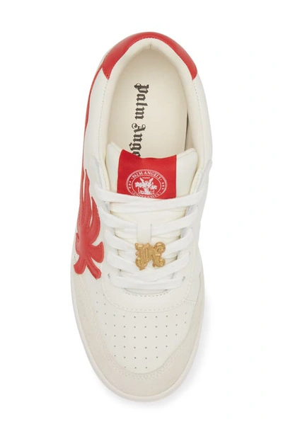 Shop Palm Angels Palm Beach University Low Top Sneaker In White Red
