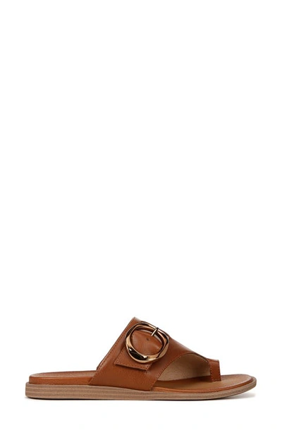 Shop Soul Naturalizer Joanie Buckle Sandal In Mid Brown Faux Leather