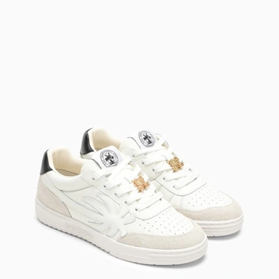 Shop Palm Angels Palm Beach Trainer In In White