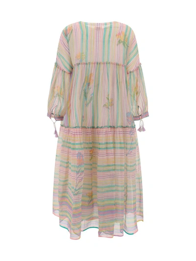 Shop Eka Dresses In Multicolor