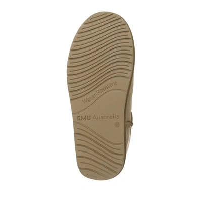 Emu Stinger Mini Shoes In E139 Coriander