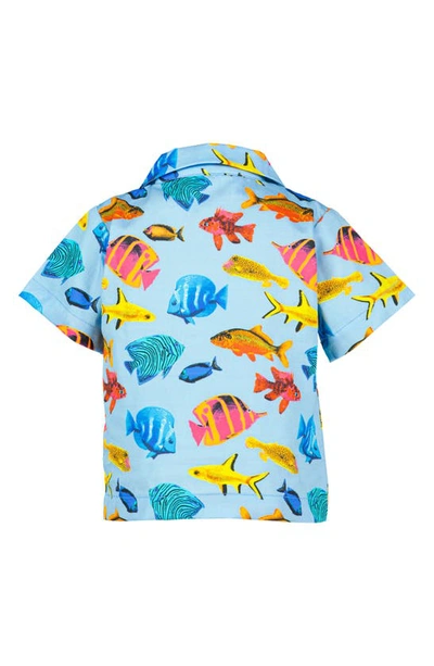 Shop Rachel Riley Tropical Fish Print Short Sleeve Cotton Button-up Shirt In Blue Multi