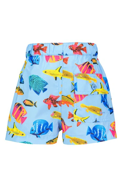 Shop Rachel Riley Fish Swim Trunks In Blue Multi