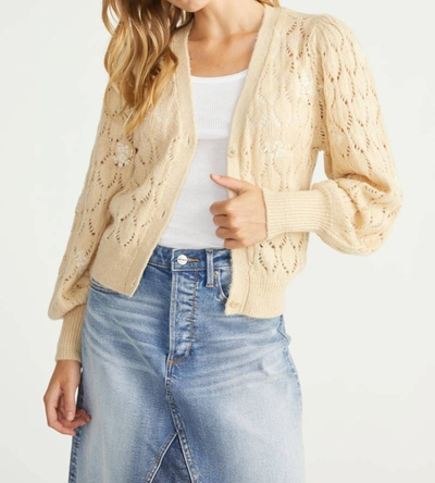 Shop Driftwood Cream Pointelle Cardigan In Beige