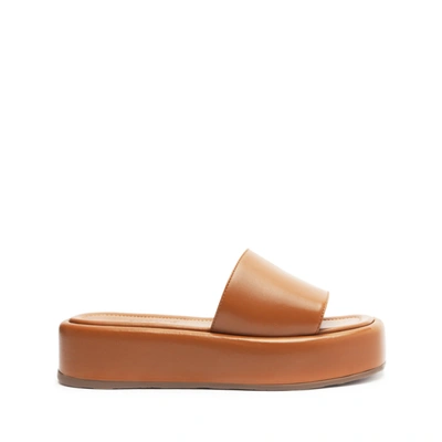 Shop Schutz Yara Leather Sandal In Honey Peach