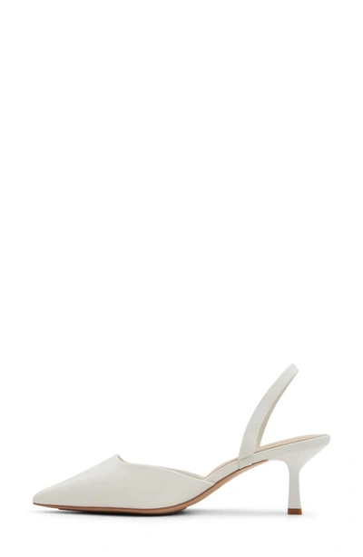 Shop Aldo Gavedessi Pointed Toe Slingback Pump In White/ Bone