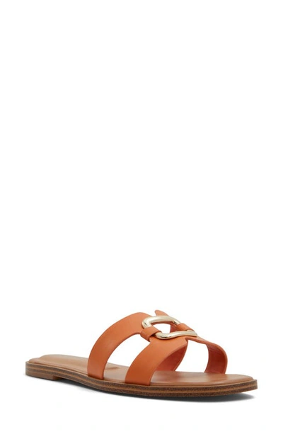 Shop Aldo Nydaokin Slide Sandal In Other Orange