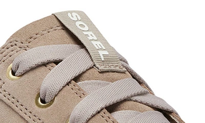 Shop Sorel Caribou X Waterproof Platform Sneaker In Omega Taupe/ Sea Salt