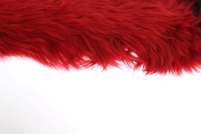 Shop Dolce & Gabbana Elegant Red Leather Elbow Long Women's Gloves