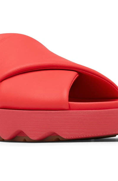 Shop Sorel Vibe Slide Sandal In Red Glo/ Gum 16