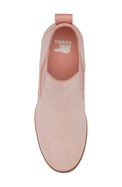 Shop Sorel Out N About Slip-on Wedge Shoe Ii In Faux Pink/ Gum 2