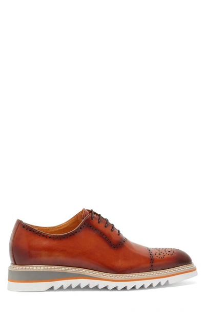 Maison Forte Reims Wholecut Oxford In Cognac