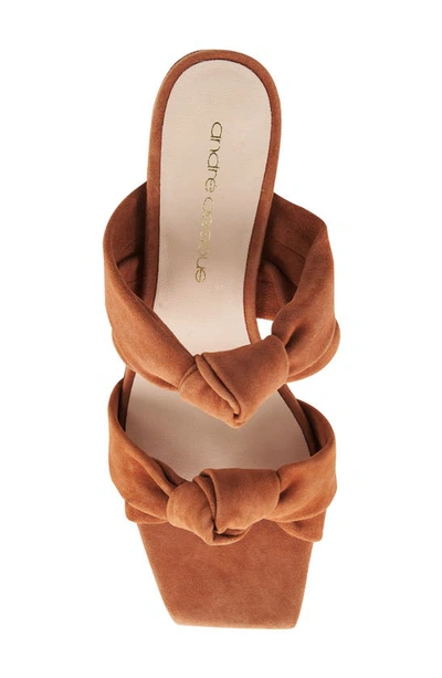 Andre Assous Darling Block Heel Sandal In Camel