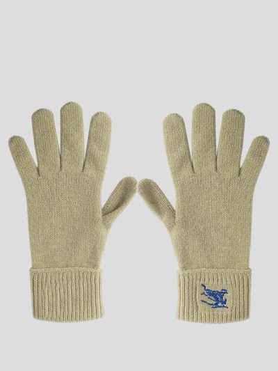 Shop Burberry Glove In Hunter